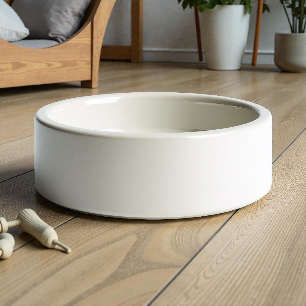 Spine-Ease Elevated Ceramic Pet Bowl - 15° Tilted Design